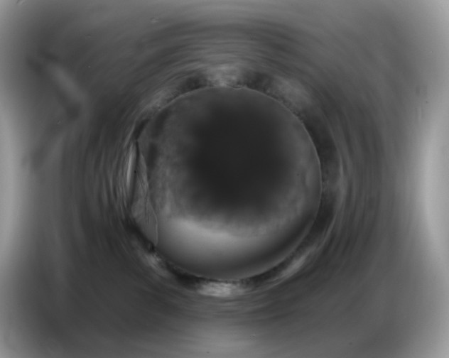 X0000086780139200704271817