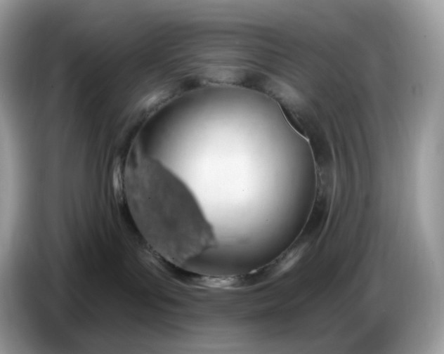 X0000086780143200704271817