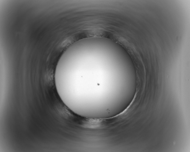 X0000086780144200704271817