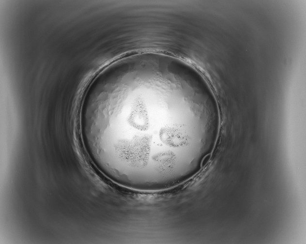 X0000086780145200704271817