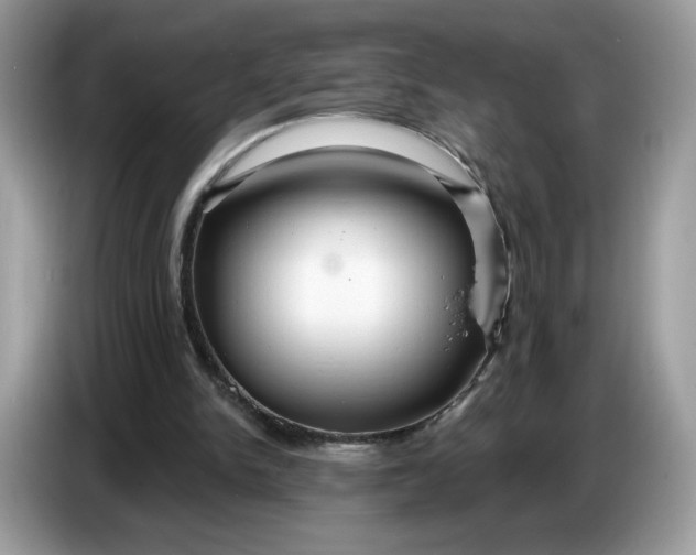 X0000086780150200704271817