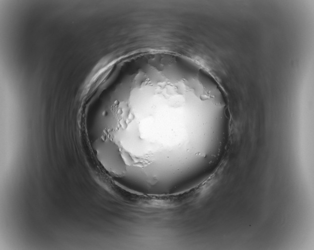 X0000086780151200704271817