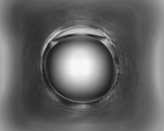 X0000086780152200704271817