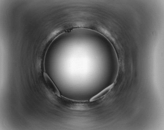 X0000086780154200704271817