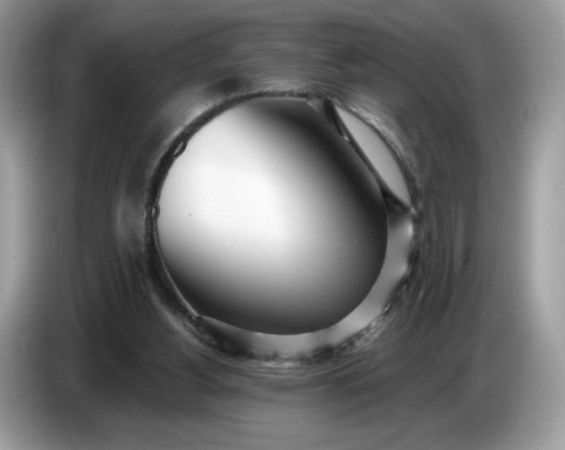 X0000086780156200704271817