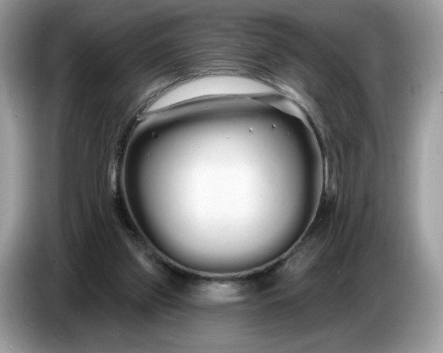 X0000086780157200704271817