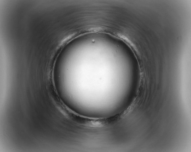 X0000086780159200704271817