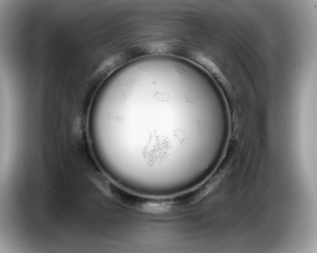 X0000086780161200704271817