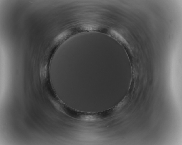 X0000086780163200704271817