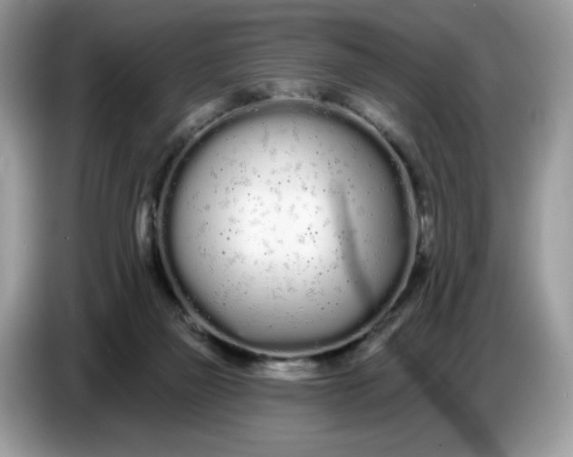 X0000086780165200704271817