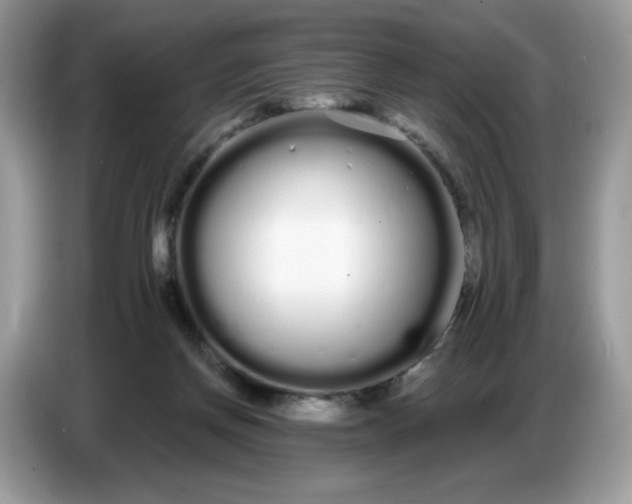 X0000086780166200704271817