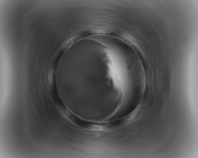 X0000086780167200704271817