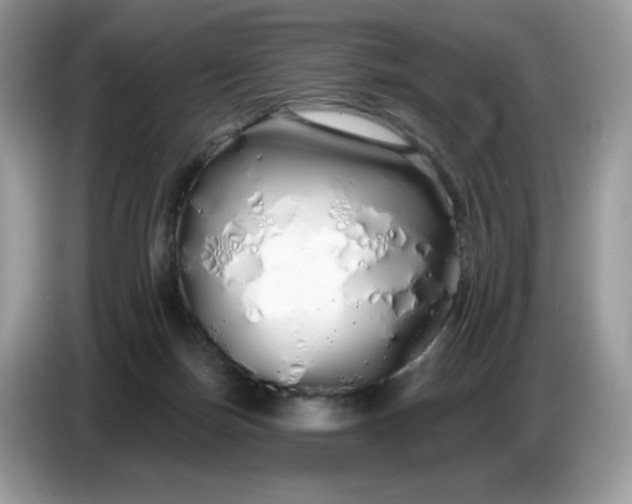 X0000086780171200704271817