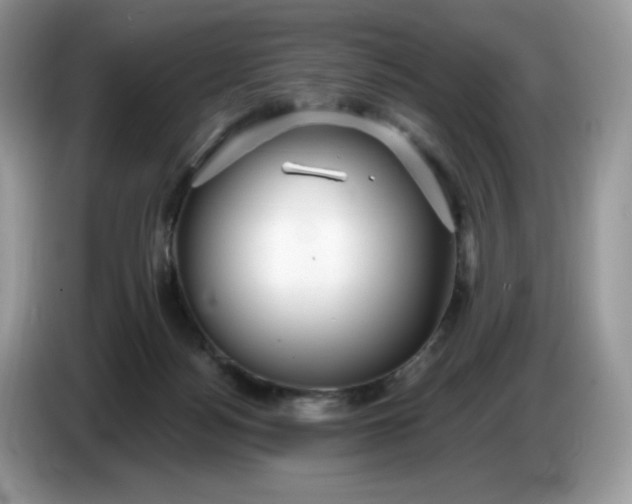 X0000086780172200704271817