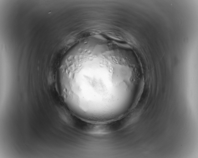 X0000086780173200704271817