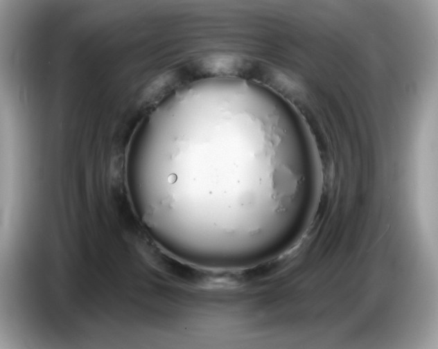 X0000086780175200704271817