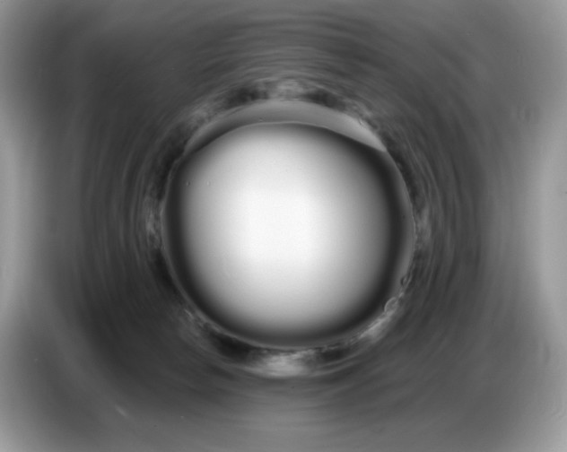 X0000086780178200704271817