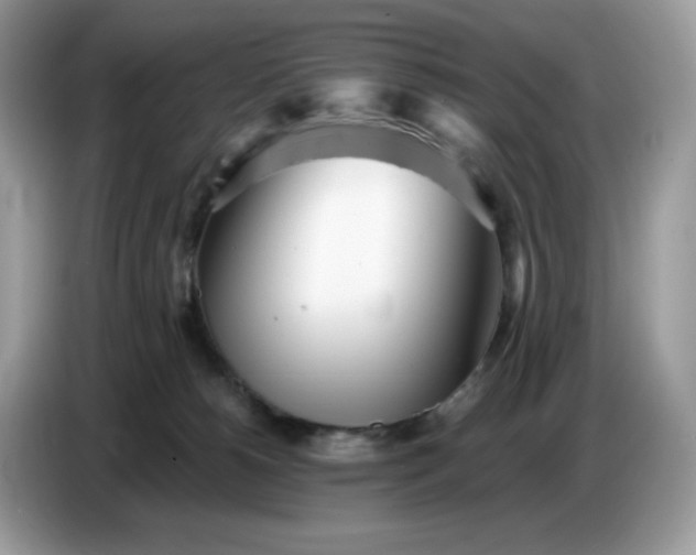 X0000086780180200704271817