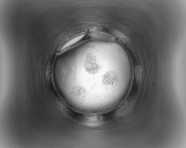 X0000086780181200704271817