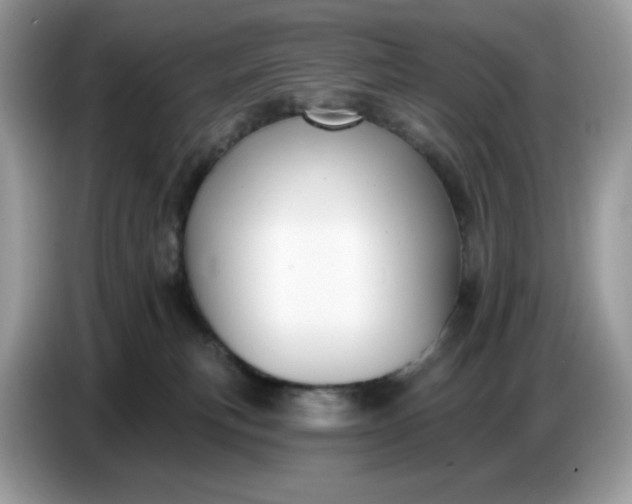 X0000086780183200704271817