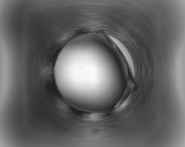 X0000086780184200704271817