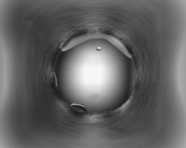 X0000086780186200704271817