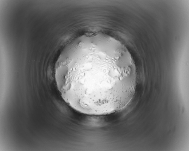 X0000086780187200704271817