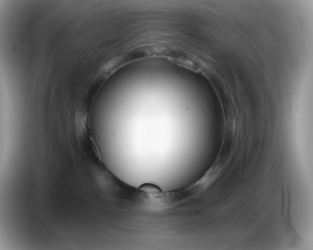 X0000086780188200704271817