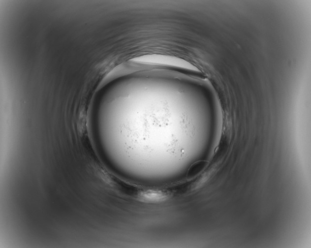 X0000086780189200704271817