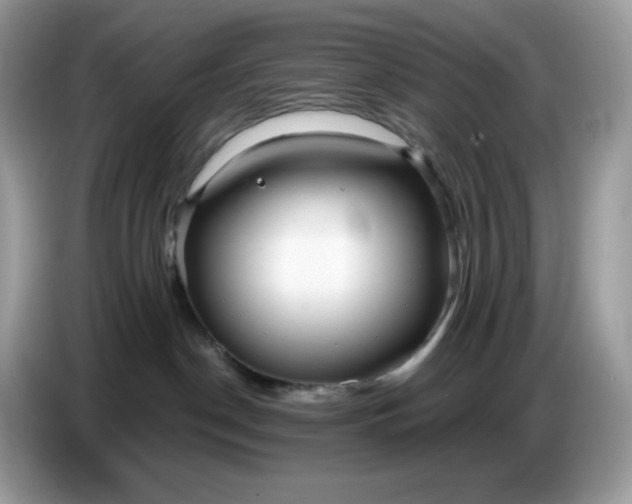 X0000086780190200704271817