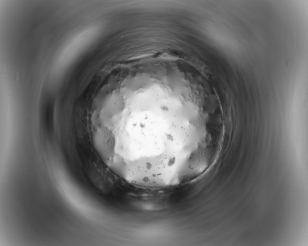 X0000086780191200704271817