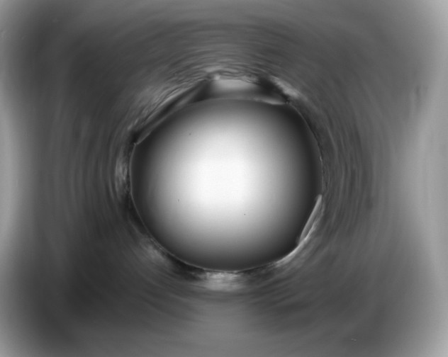 X0000086780192200704271817