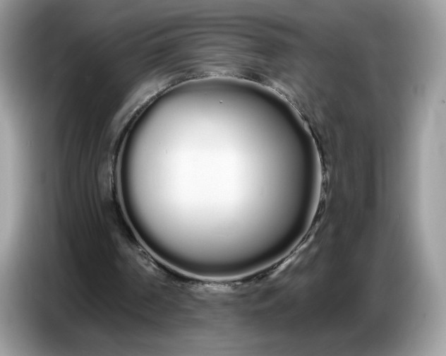 X0000086780194200704271817