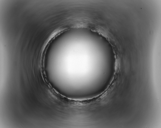 X0000086780195200704271817