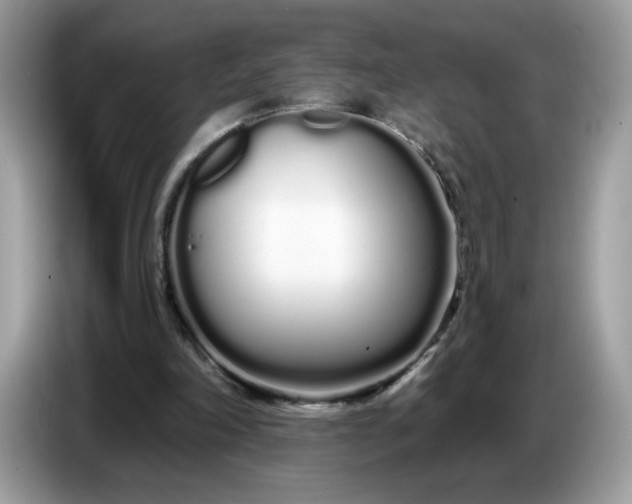 X0000086780198200704271817