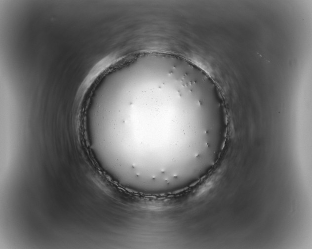 X0000086780199200704271817