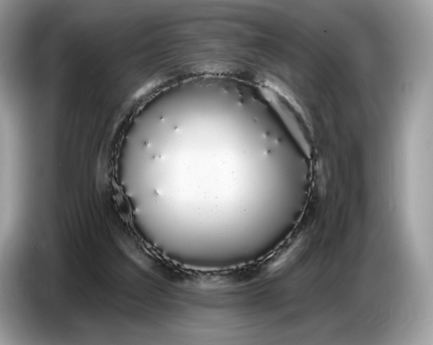 X0000086780203200704271816