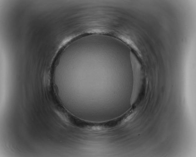 X0000086780204200704271816