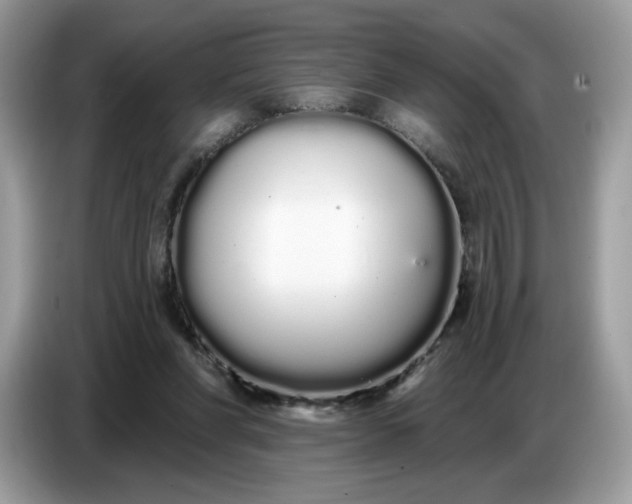 X0000086780206200704271816