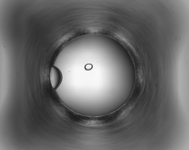 X0000086780212200704271816