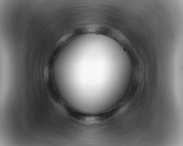 X0000086780216200704271816