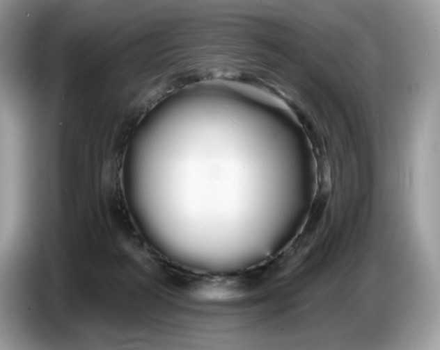 X0000086780218200704271816