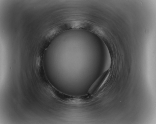 X0000086780219200704271816