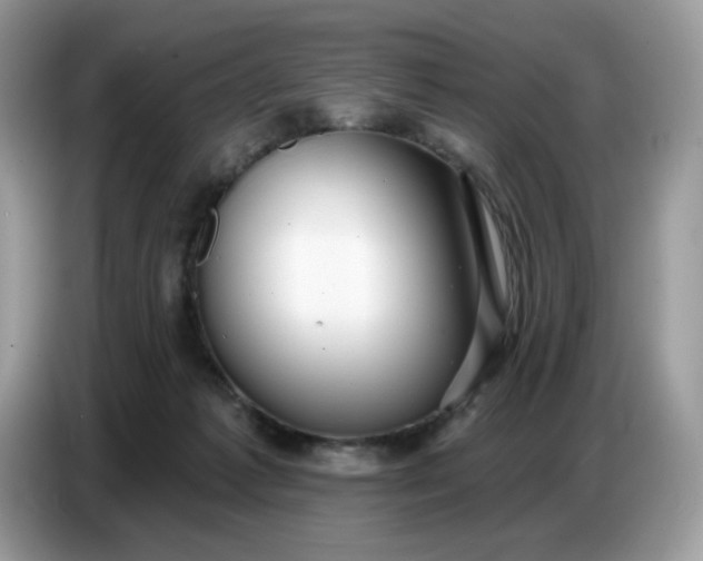 X0000086780221200704271816