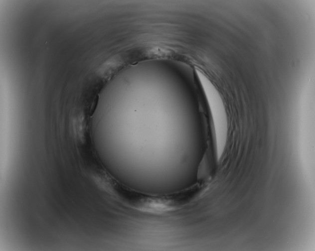 X0000086780223200704271816