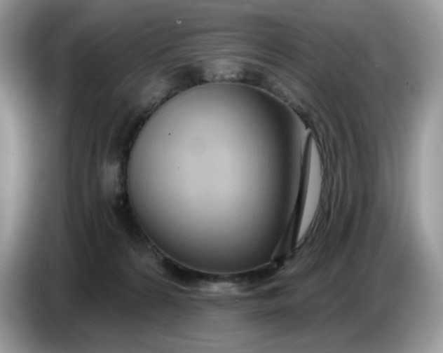 X0000086780224200704271816