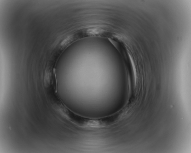 X0000086780227200704271816