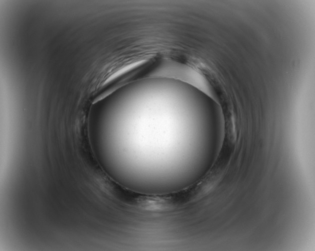 X0000086780229200704271816