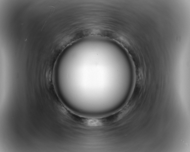 X0000086780230200704271816