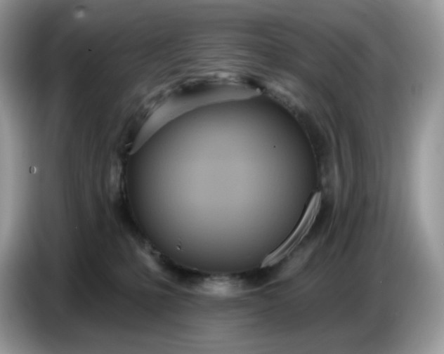 X0000086780231200704271816